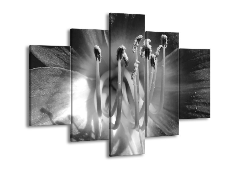 Canvas Schilderij Bloem | Zwart, Grijs | 150x105cm 5Luik