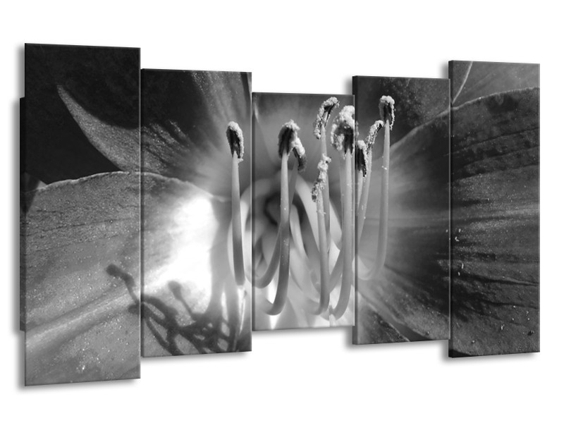 Canvas Schilderij Bloem | Zwart, Grijs | 150x80cm 5Luik
