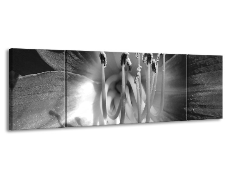 Canvas Schilderij Bloem | Zwart, Grijs | 170x50cm 3Luik