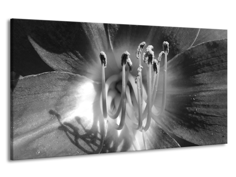 Canvas Schilderij Bloem | Zwart, Grijs | 190x100cm 1Luik