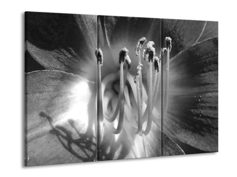 Canvas Schilderij Bloem | Zwart, Grijs | 60x90cm 3Luik