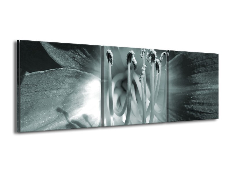 Glasschilderij Bloem | Grijs, Groen | 150x50cm 3Luik