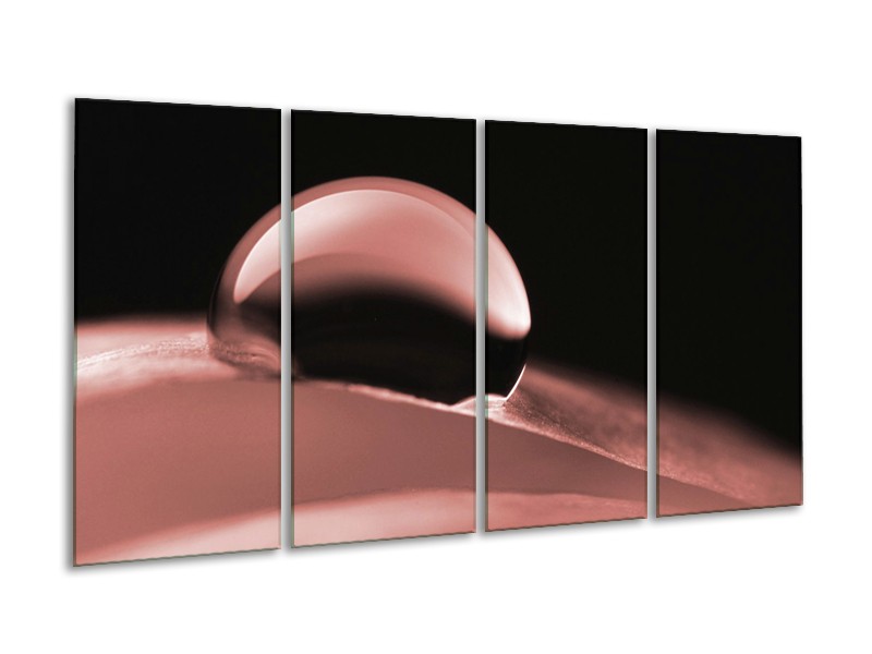 Canvas Schilderij Macro | Bruin, Rood | 160x80cm 4Luik