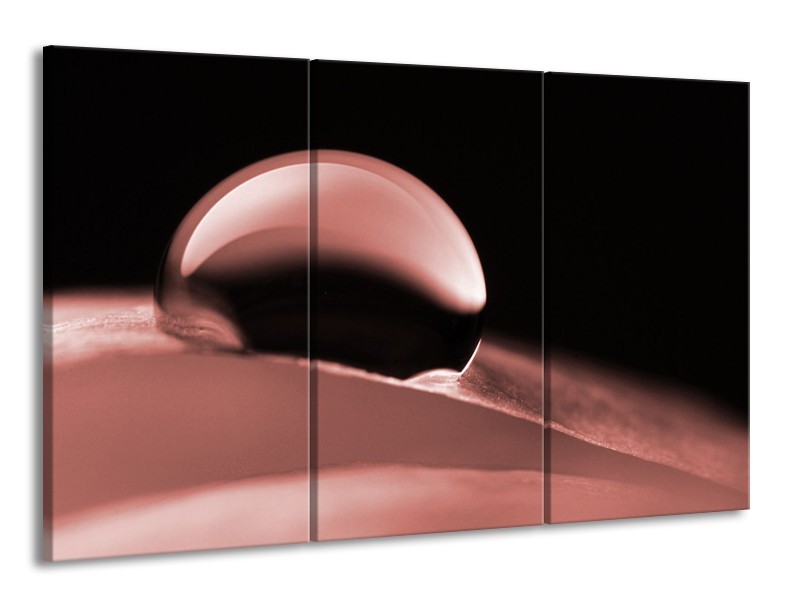 Canvas Schilderij Macro | Bruin, Rood | 165x100cm 3Luik