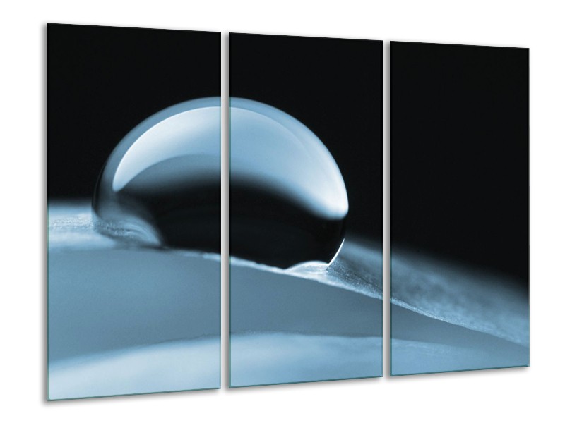 Canvas Schilderij Macro | Blauw | 120x80cm 3Luik