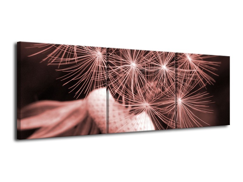 Glasschilderij Bloem | Bruin, Rood | 120x40cm 3Luik