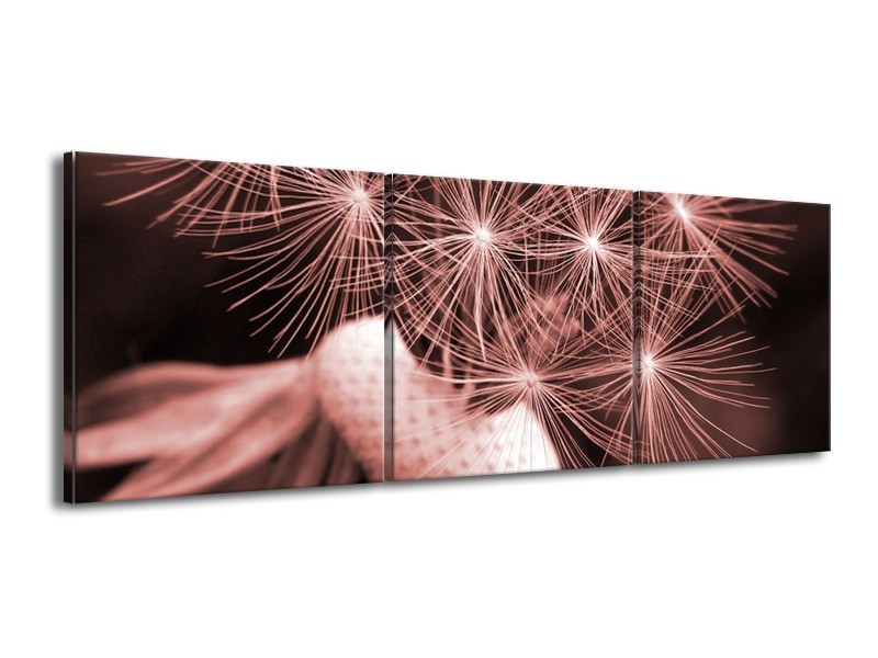 Glasschilderij Bloem | Bruin, Rood | 150x50cm 3Luik