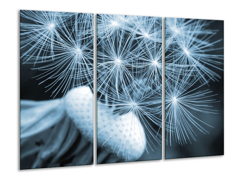 Glasschilderij Bloem | Blauw | 120x80cm 3Luik