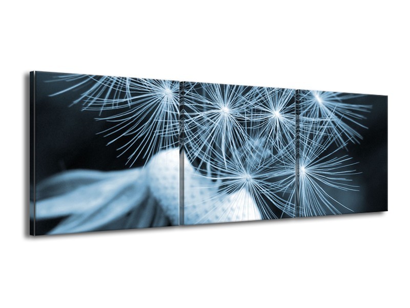 Glasschilderij Bloem | Blauw | 150x50cm 3Luik