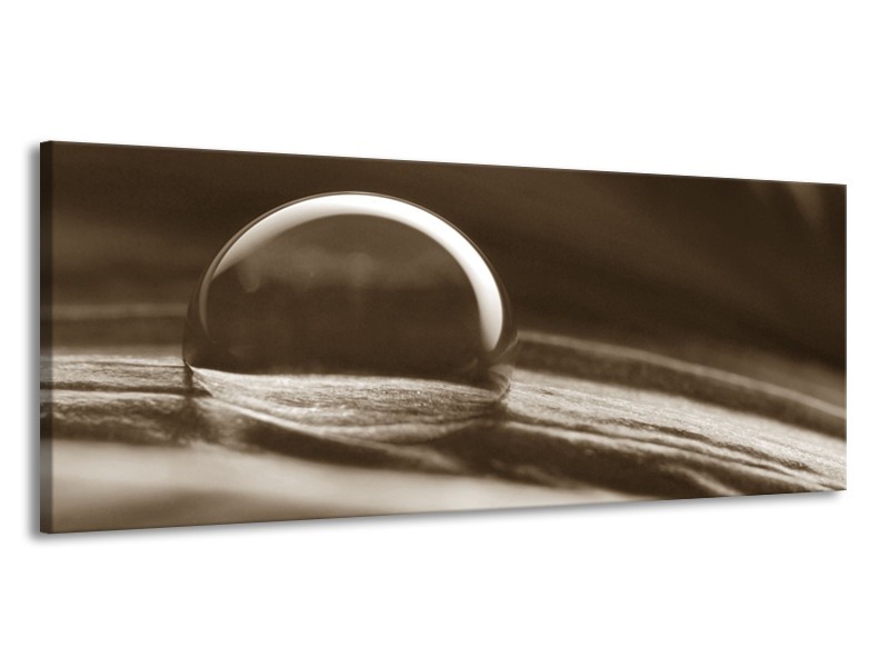 Canvas Schilderij Macro | Sepia | 145x58cm 1Luik