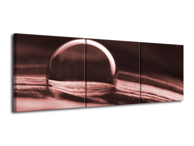 Canvas Schilderij Macro | Bruin, Rood | 120x40cm 3Luik