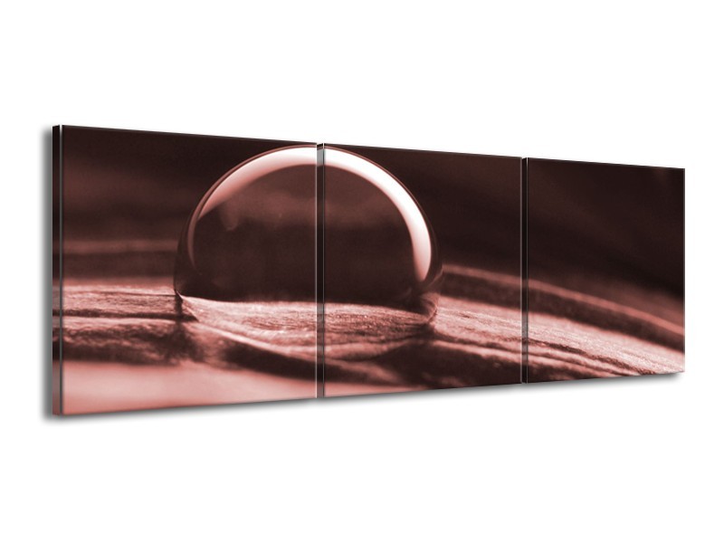 Canvas Schilderij Macro | Bruin, Rood | 150x50cm 3Luik