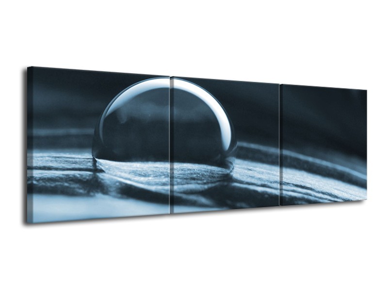 Canvas Schilderij Macro | Blauw | 120x40cm 3Luik