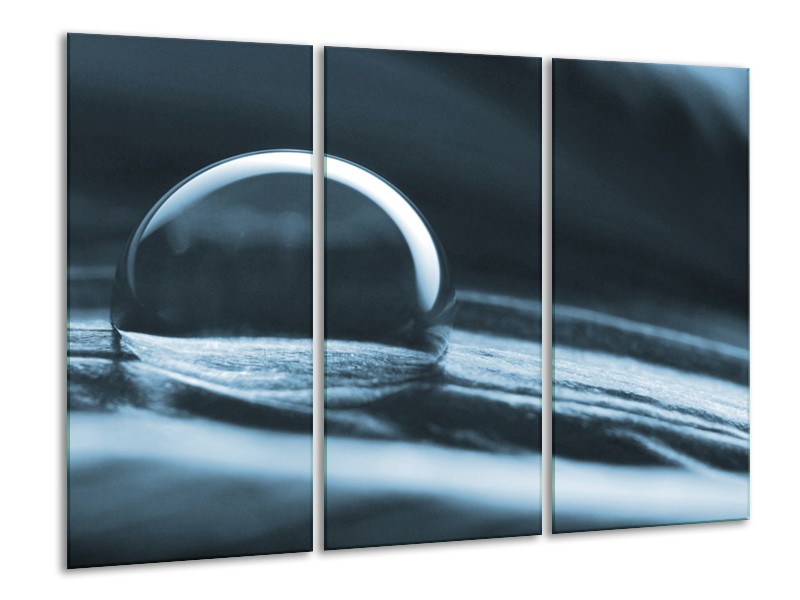 Canvas Schilderij Macro | Blauw | 120x80cm 3Luik