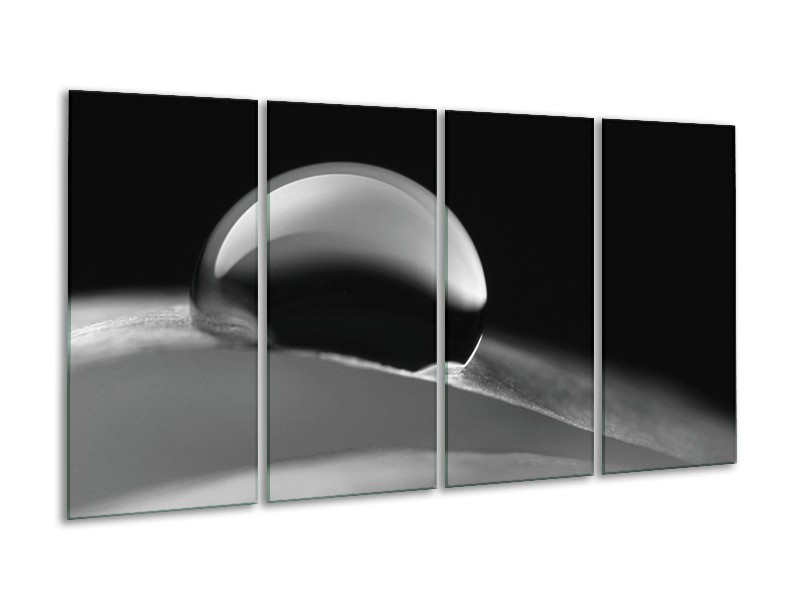 Glasschilderij Macro | Zwart, Grijs | 160x80cm 4Luik