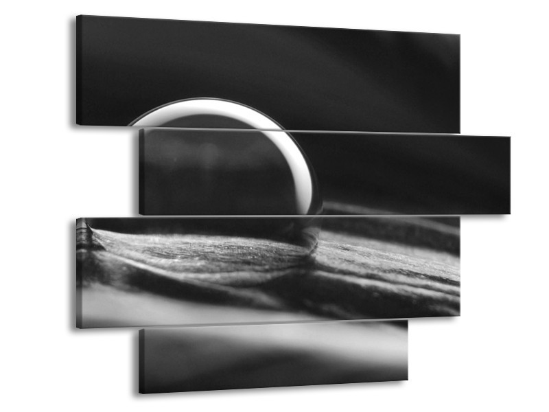 Glasschilderij Macro | Grijs, Zwart, Wit | 115x85cm 4Luik