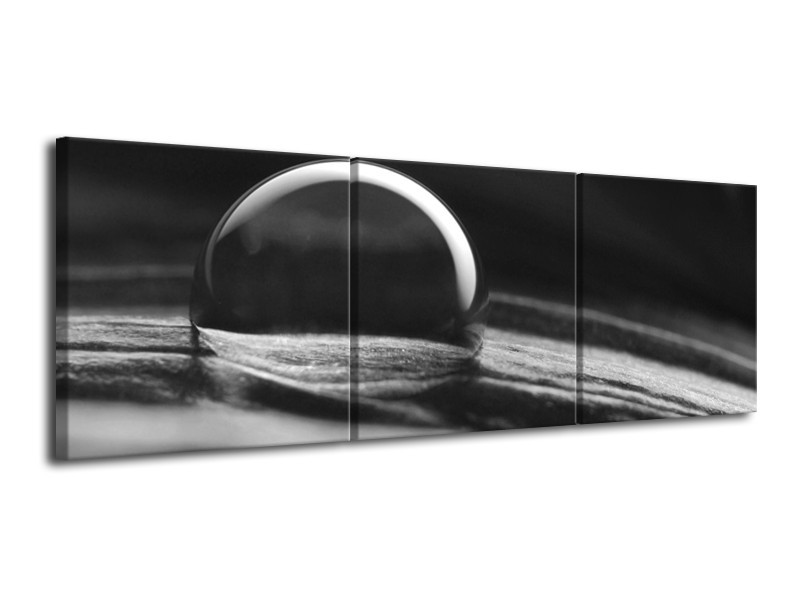 Canvas Schilderij Macro | Grijs, Zwart, Wit | 120x40cm 3Luik