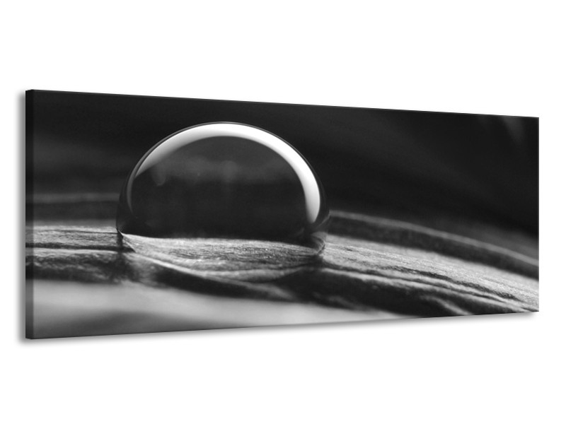 Canvas Schilderij Macro | Grijs, Zwart, Wit | 145x58cm 1Luik