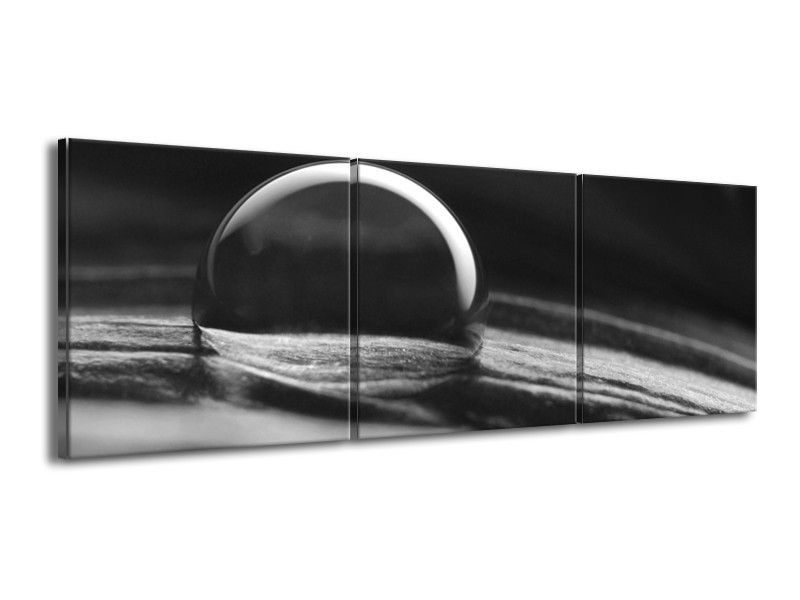 Canvas Schilderij Macro | Grijs, Zwart, Wit | 150x50cm 3Luik