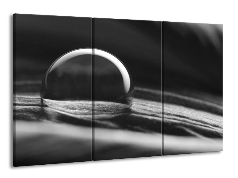 Canvas Schilderij Macro | Grijs, Zwart, Wit | 165x100cm 3Luik