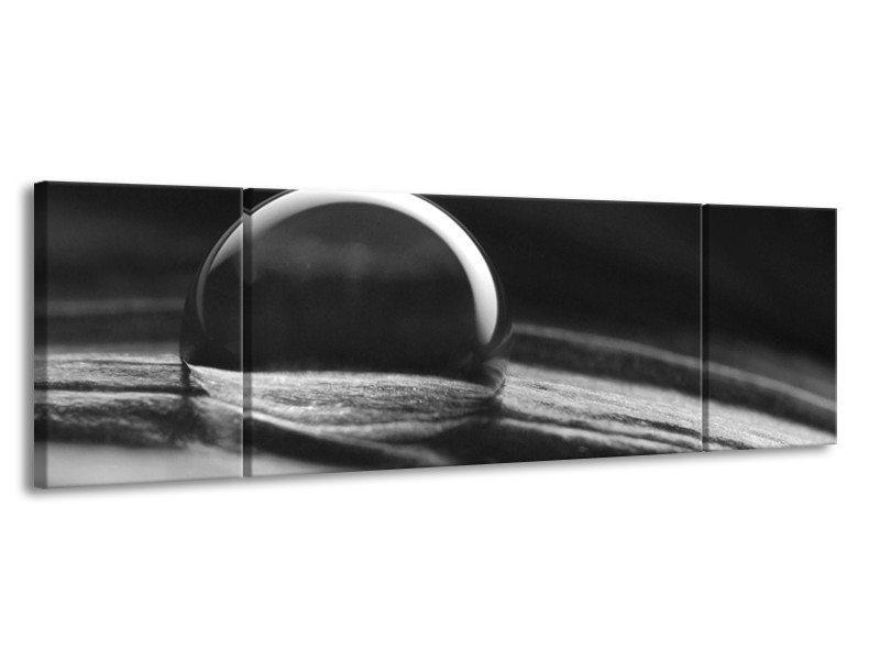 Canvas Schilderij Macro | Grijs, Zwart, Wit | 170x50cm 3Luik