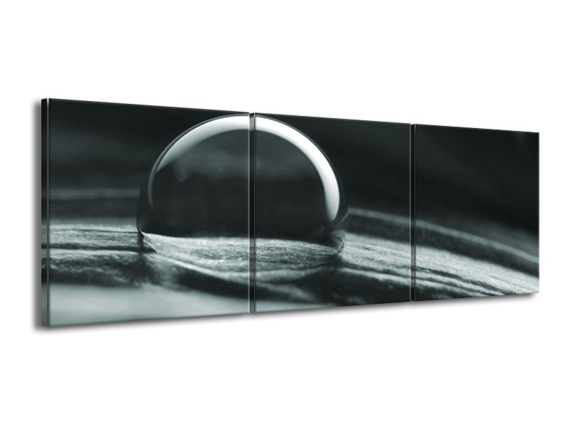 Canvas Schilderij Macro | Grijs, Groen | 150x50cm 3Luik