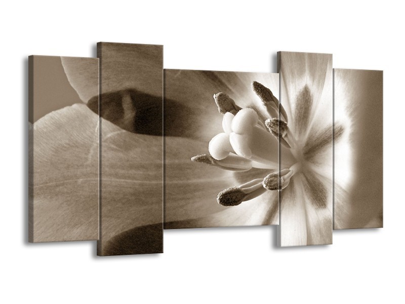 Glasschilderij Bloem | Sepia | 120x65cm 5Luik