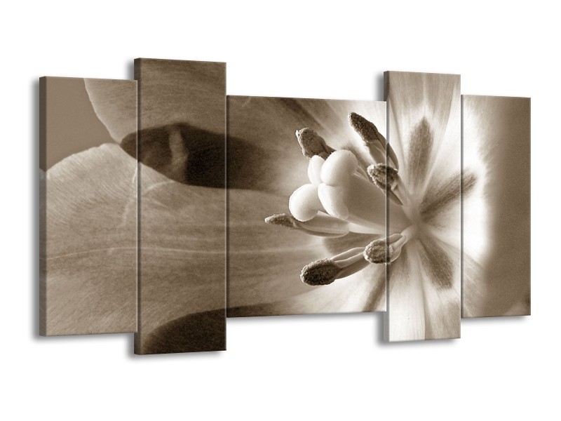 Canvas Schilderij Bloem | Sepia | 120x65cm 5Luik