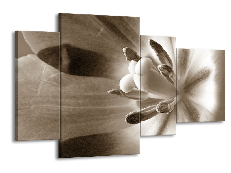 Glasschilderij Bloem | Sepia | 120x75cm 4Luik