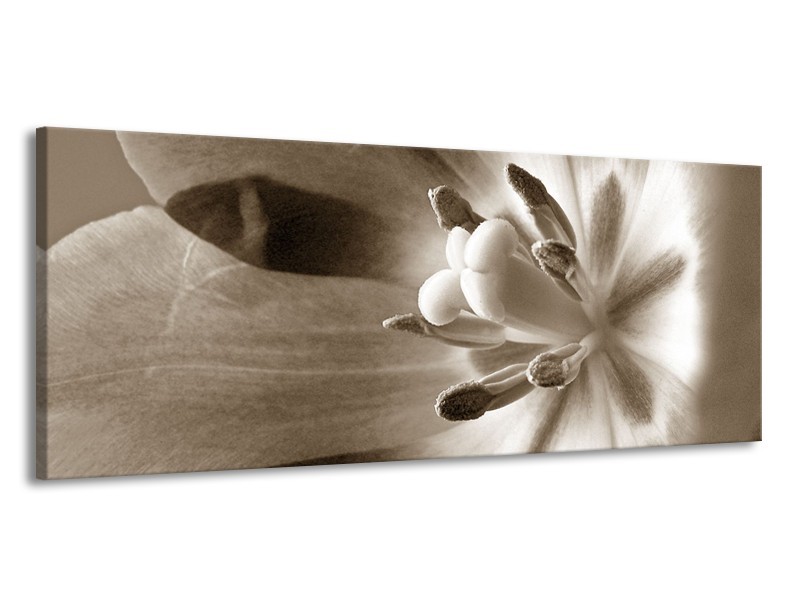 Canvas Schilderij Bloem | Sepia | 145x58cm 1Luik