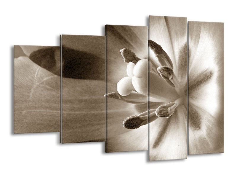 Canvas Schilderij Bloem | Sepia | 150x100cm 5Luik