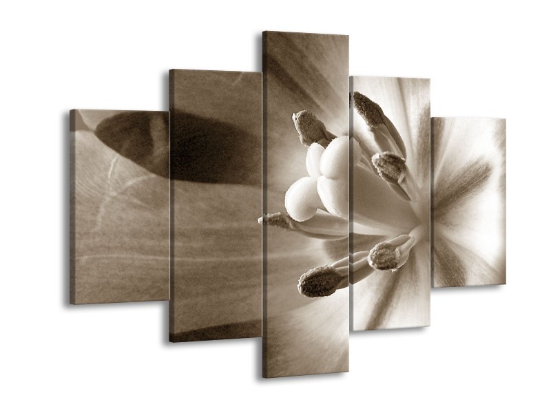 Canvas Schilderij Bloem | Sepia | 150x105cm 5Luik