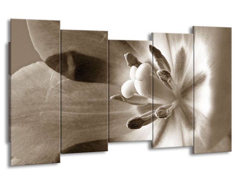 Canvas Schilderij Bloem | Sepia | 150x80cm 5Luik