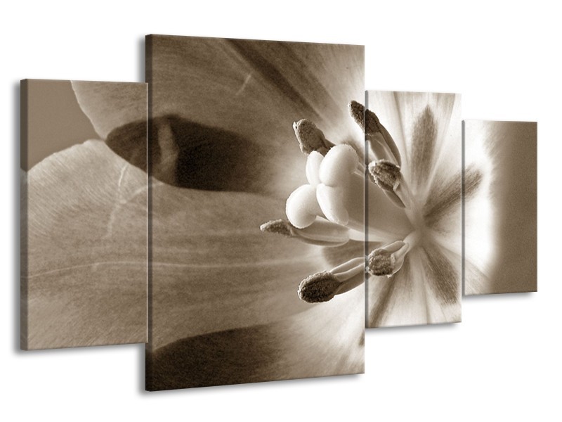 Glasschilderij Bloem | Sepia | 160x90cm 4Luik