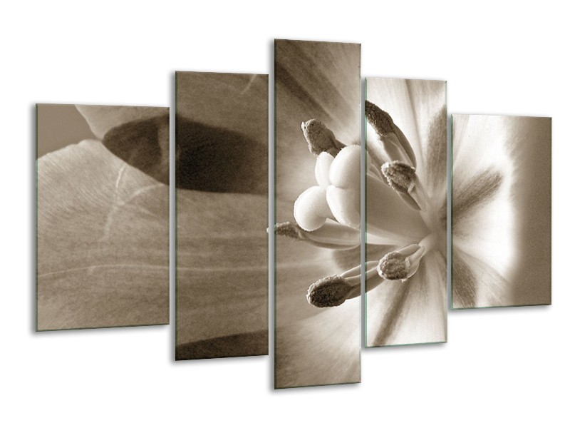 Glasschilderij Bloem | Sepia | 170x100cm 5Luik