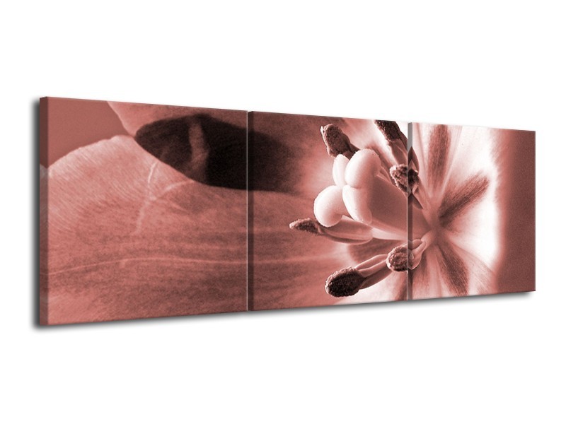 Canvas Schilderij Bloem | Bruin, Rood | 120x40cm 3Luik