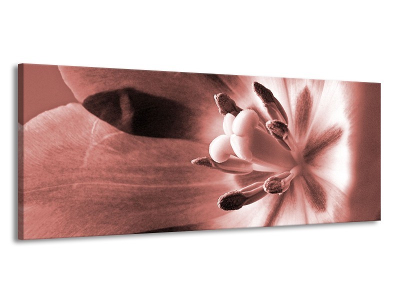 Canvas Schilderij Bloem | Bruin, Rood | 145x58cm 1Luik