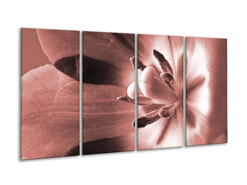 Canvas Schilderij Bloem | Bruin, Rood | 160x80cm 4Luik