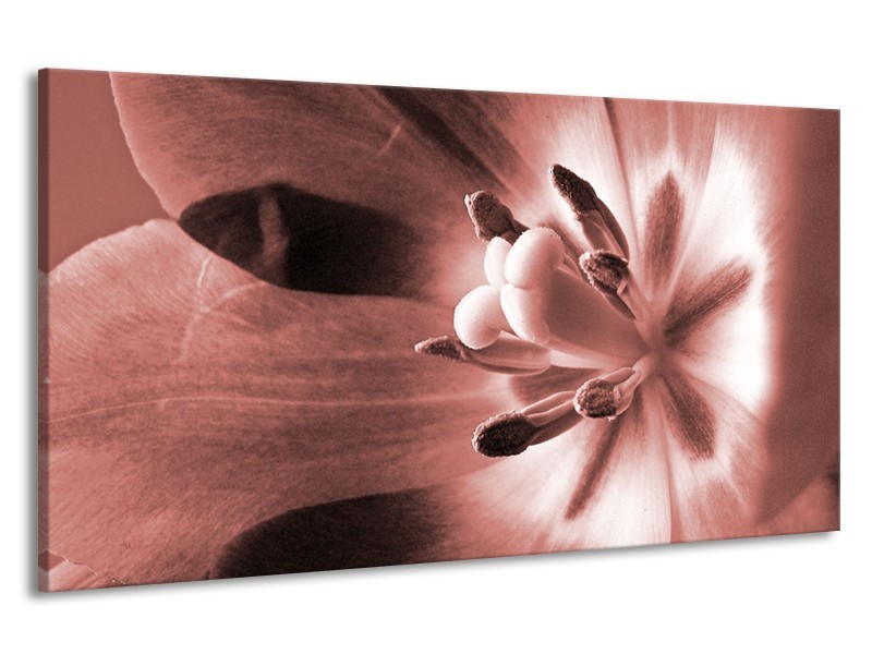 Canvas Schilderij Bloem | Bruin, Rood | 190x100cm 1Luik