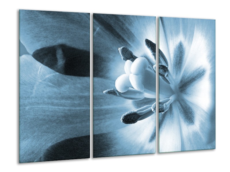 Canvas Schilderij Bloem | Blauw | 120x80cm 3Luik