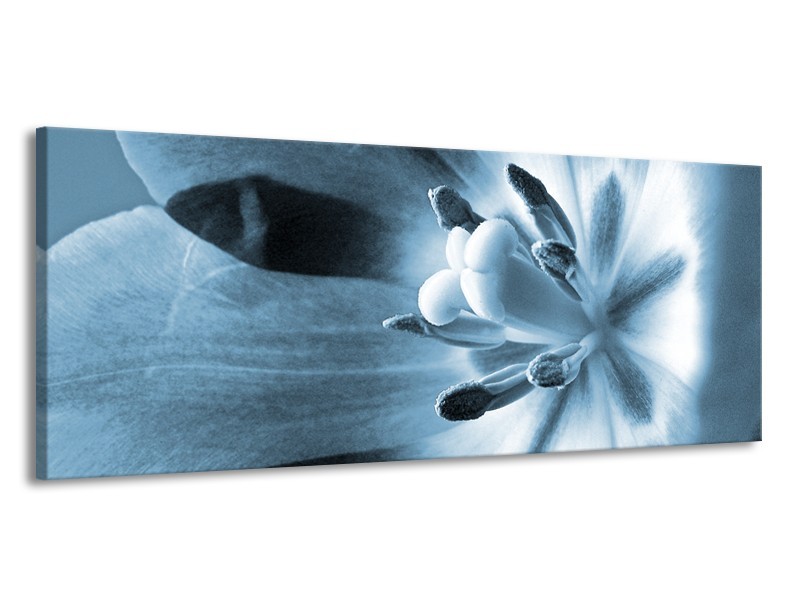 Canvas Schilderij Bloem | Blauw | 145x58cm 1Luik