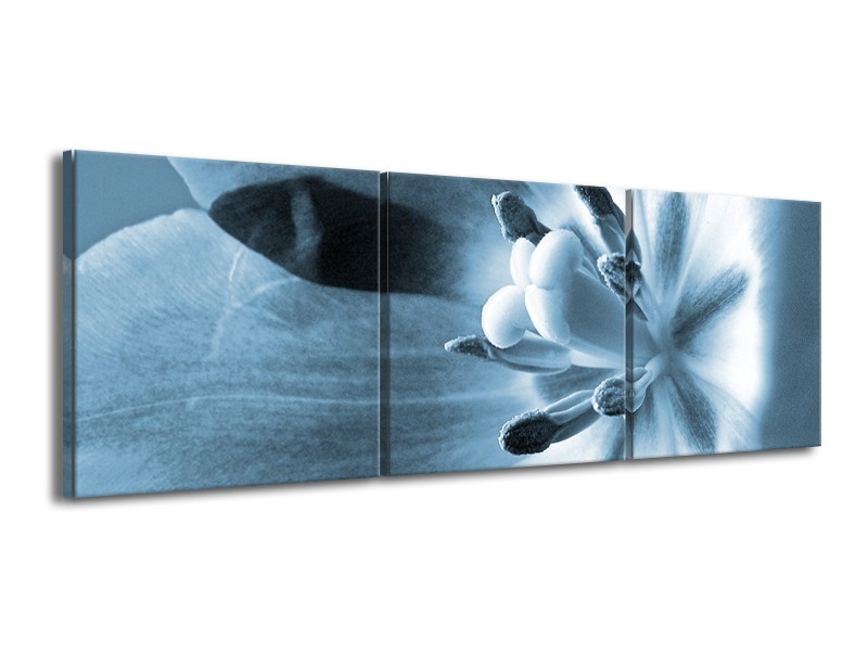 Glasschilderij Bloem | Blauw | 150x50cm 3Luik