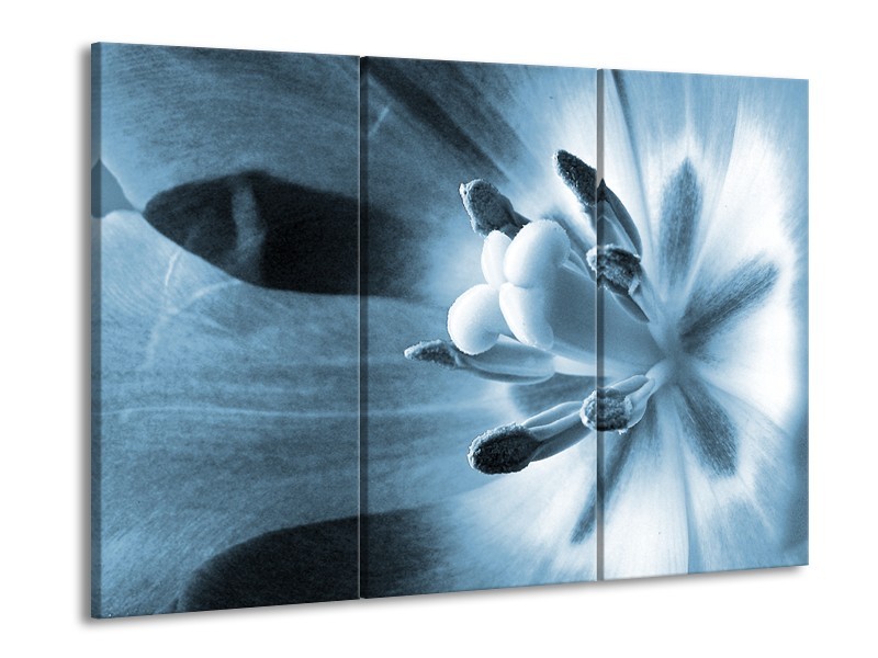 Glasschilderij Bloem | Blauw | 60x90cm 3Luik