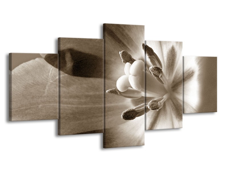 Canvas Schilderij Bloem | Sepia | 150x80cm 5Luik