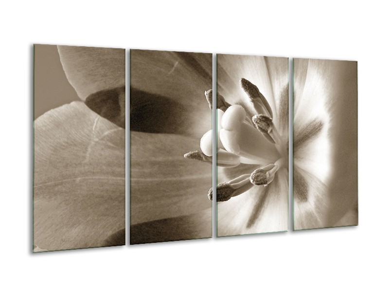 Glasschilderij Bloem | Sepia | 160x80cm 4Luik