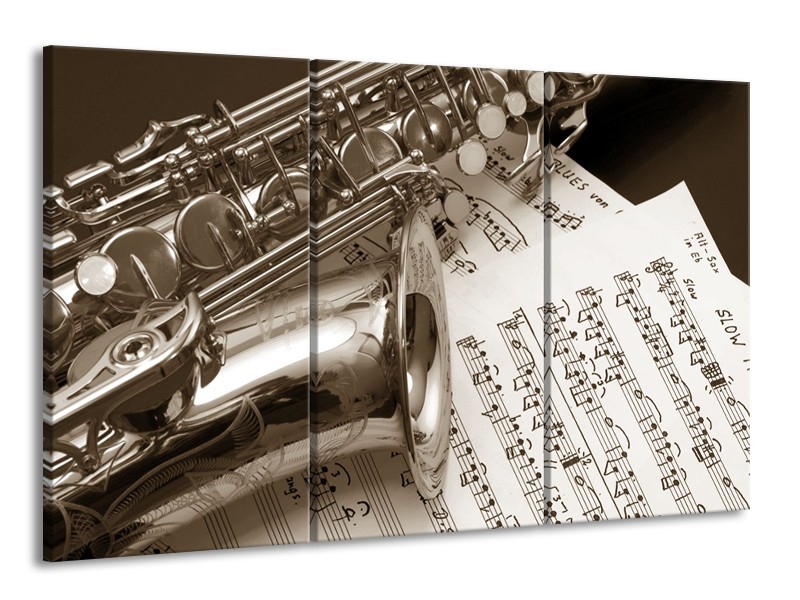 Glasschilderij Muziek | Sepia | 165x100cm 3Luik