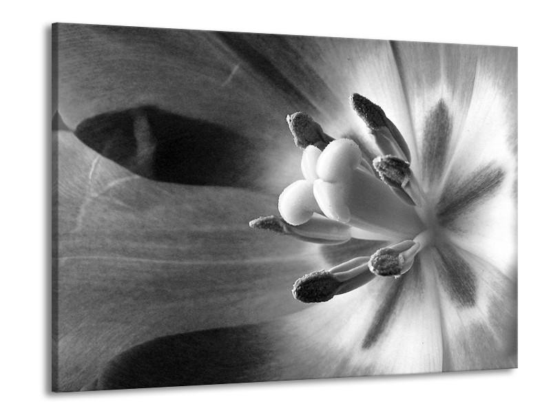 Canvas Schilderij Bloem | Zwart, Wit, Grijs | 100x70cm 1Luik