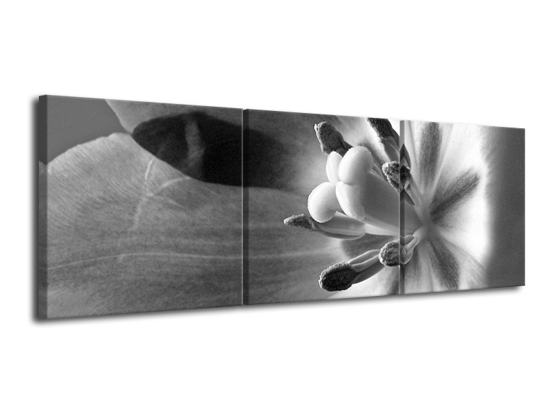 Glasschilderij Bloem | Zwart, Wit, Grijs | 120x40cm 3Luik