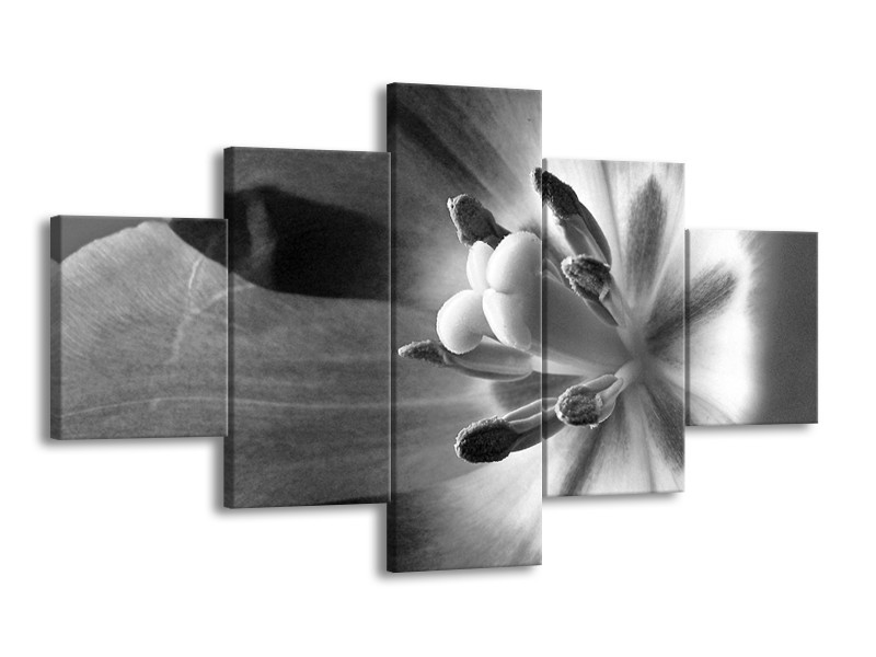 Canvas Schilderij Bloem | Zwart, Wit, Grijs | 125x70cm 5Luik