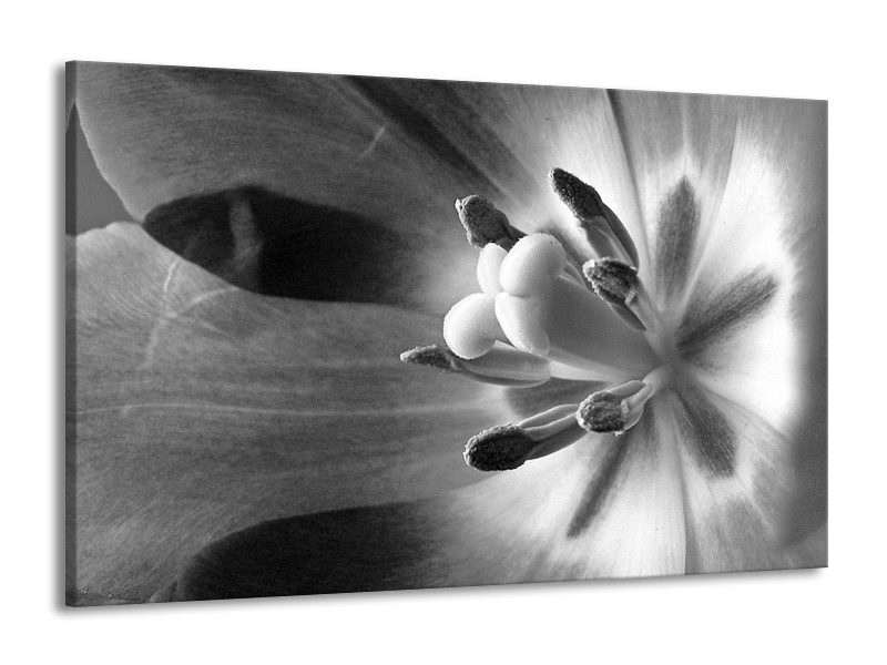 Canvas Schilderij Bloem | Zwart, Wit, Grijs | 140x90cm 1Luik